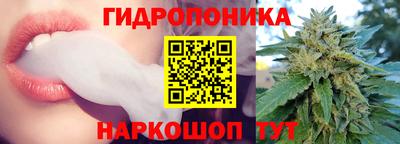 мяу мяу мука Кунгур